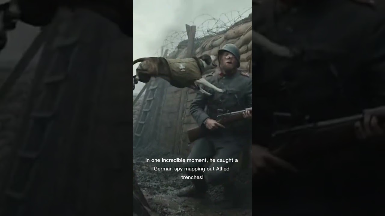 He Became a US Army Sergeant! 