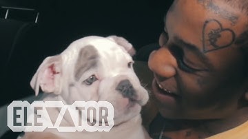 Thouxanbanfauni - VIPER (Official Music Video)