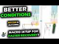 Recovery Watch for Bitcoin Price Chart, Altcoin Market and XRP as Macro Cooperates Into New Highs