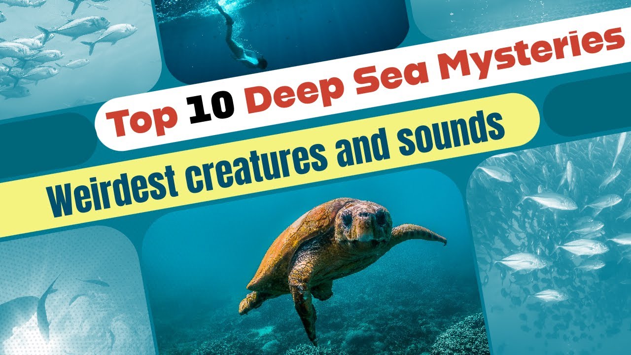 Deep Sea Mysteries That Will Freak You Out - YouTube