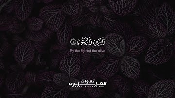 سورة التين Surat Al Tin