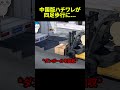 中国版ハチワレが四足歩行に... #ちいかわ