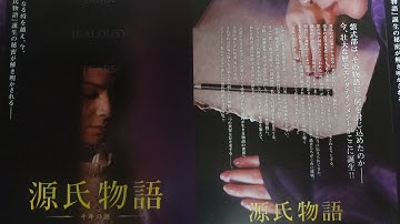 源氏物語 千年の謎 (A) (2011) 映画チラシ 生田斗真 中谷美紀 真木よう子 多部未華子