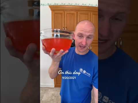 THE BEST DIETING SNACK Low Calorie Snack Super Filling Food Jello When Dieting Eat This On A Diet