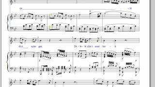 Don Giovanni Act 2 Number 21 Aria (Il Mio Tesoro)