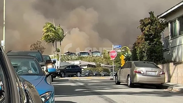 QAUTOHeadlineNR-VO Dec 10 19:52:33 IST 2025 Auto-Bilbies move home to protect populations in Austral