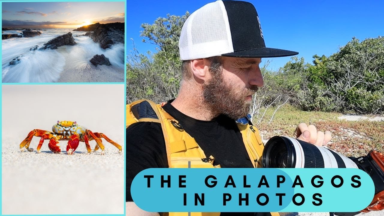 Ecuador & The Galapagos Islands: Wildlife Photography and More (38 photos!)