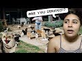 STORYTIME: MY TRIFLIN' A$$ NEIGHBOR! CRAZY CAT LADY!