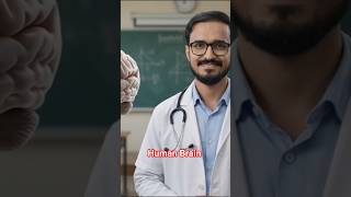 🧠 Human Brain Anatomy and physiology Facts That Will Blow Your Mind! 🤯 #shorts Nervous system