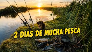 🔥 2 DÍAS de PESCA en el GUALEGUAY | Bagres Grandes, Mucho Barro y Pescado Frito