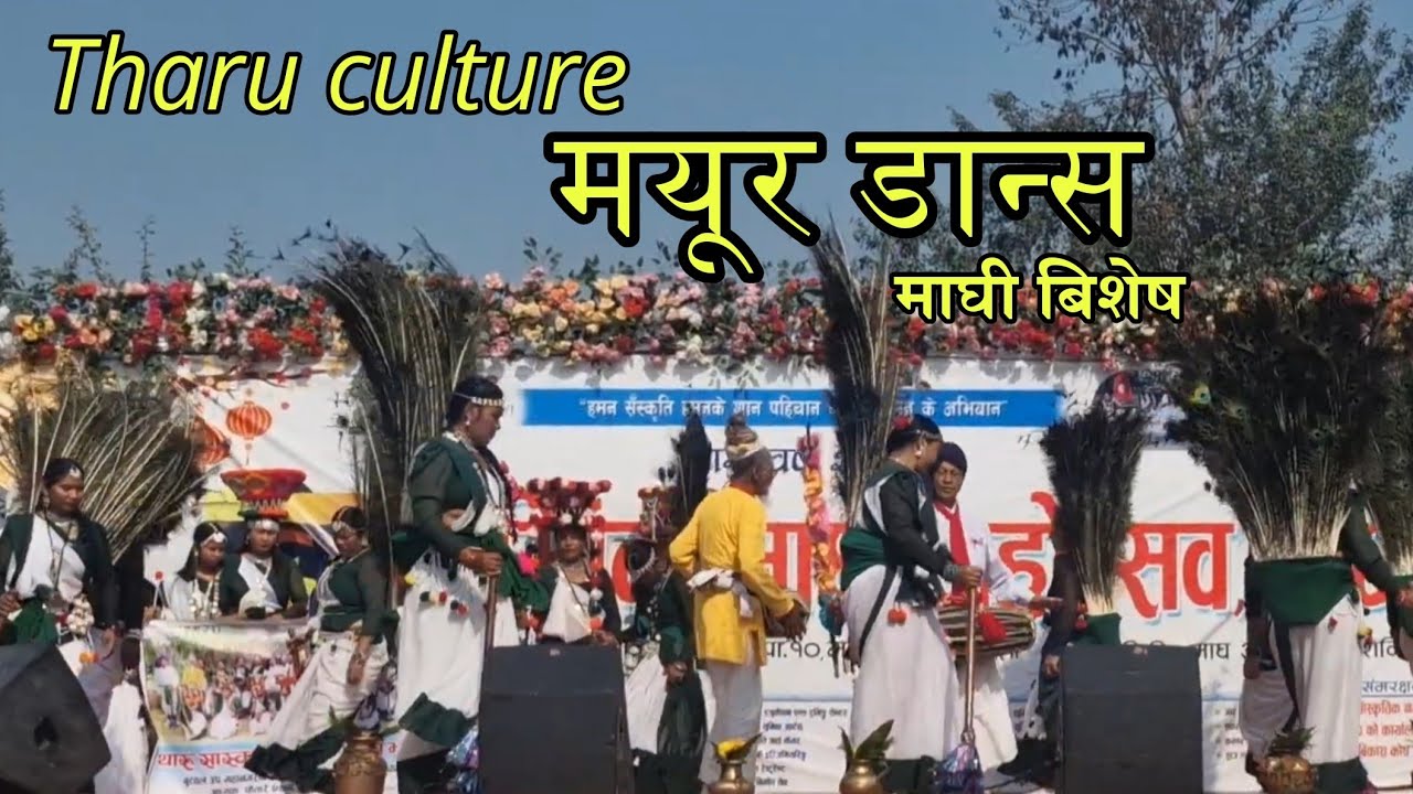 Tharu Culture Dance || मयूर डान्स || Maghe Sankranti Special Program || Lumbini 
