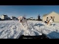 Traxxas Summit Takes the Kids for a Sled Ride!