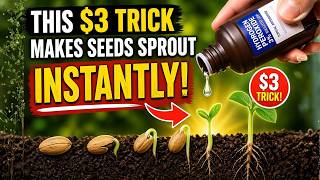 THIS $3 Trick Makes Seeds Sprout INSTANTLY!