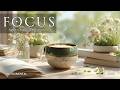Coffee Shop Guitar Vibes | Relaxing Instrumental Music for Focus