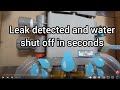 Water Damage Avoided Thanks to Leak Sensor and Smart Shut-off Valve