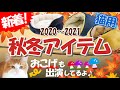 【秋冬おすすめ猫ベッド５選】キャットブリーダーが今年新作の秋冬ベッドをご紹介します！2020年～2021年版