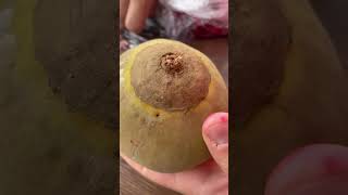 🌴 Rare Fruit “Matisia Cordata” - 60 second taste test