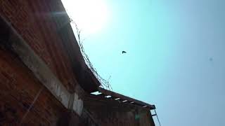 T Fitness App screenshot 1