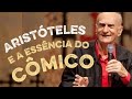 Ariano Suassuna - Aristóteles e a Essência do Cômico #arianosuassuna #humor
