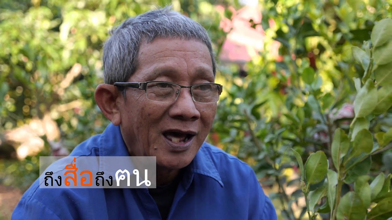 เสริมรากมะนาว โดยลุงเหน่ง