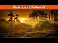 What is our life force