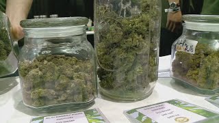 Sen. Scott Jensen On Legalizing Recreational Marijuana
