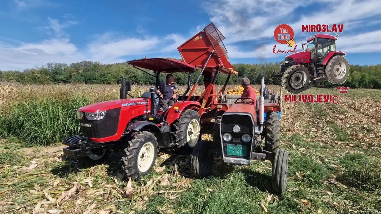 Branje kukuruza sa FM WORLD 504K i SIP TORNADO 80 |@agrinovsrs