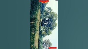 1. the another side of CCS University Meerut 💚 #youtube #trending #viral #beautiful #green #shorts