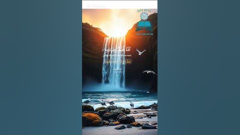 ﴿ اللَّهُ لَطِيفٌ بِعِبَادِهِ يَرْزُقُ مَن يَشَاءُ ۖ ..﴾ 🌙 القارئ عاصم اللحيدان 🌙 سورة الشورى