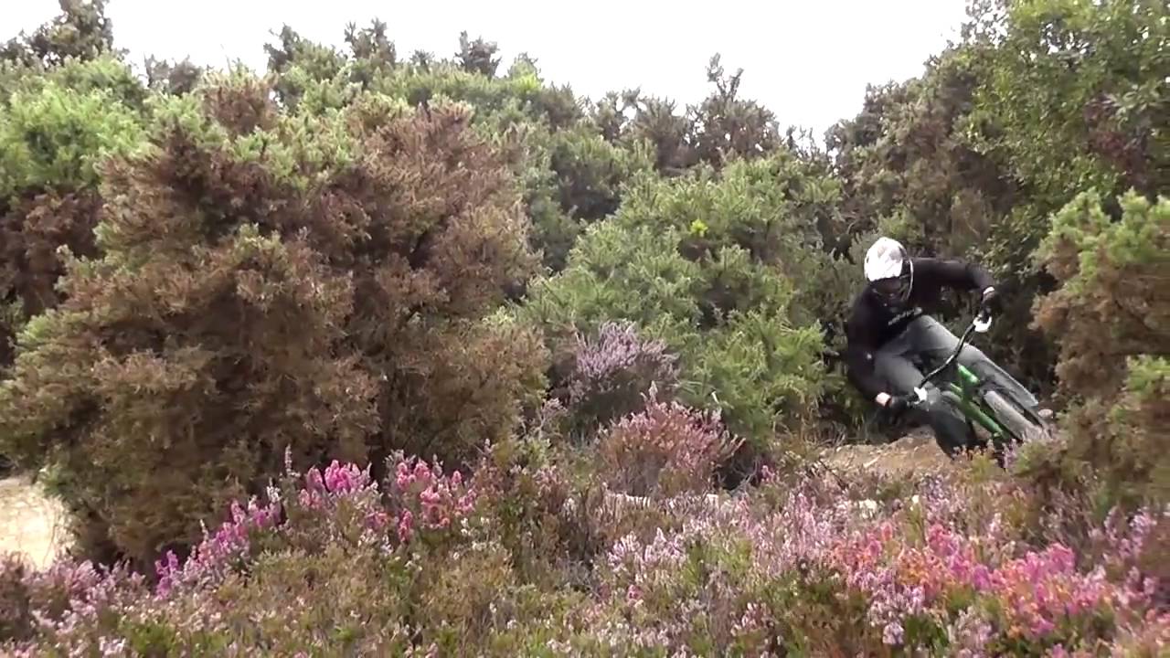 Matt Ripping - YouTube