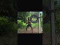 Power full kicks training #fitness #mma #kick #kickboxing #shadowboxing #motivation #home
