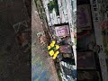 Художник Шизофреник. Стена Цоя на Арбате! #искусство #цойжив #викторцой
