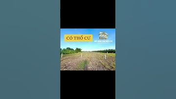 #shorts Siêu hot! Lốc 4 nền thổ cư lộ ô tô giá rẻ chỉ 299 triệu - LH: 0973.898.830