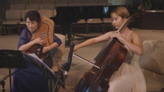 오토하프 Silvery Waves (Wyman)