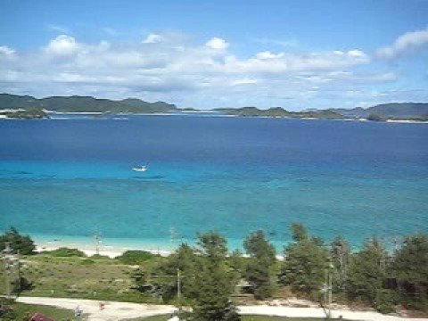 ���Ó��̃j�V�l��W�]�䂩���]