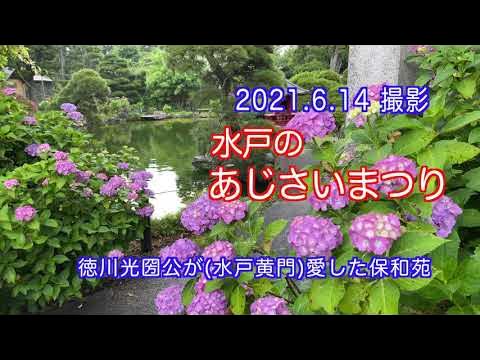 21 6 14 撮影 水戸のあじさいまつり 保和苑 4k Youtube