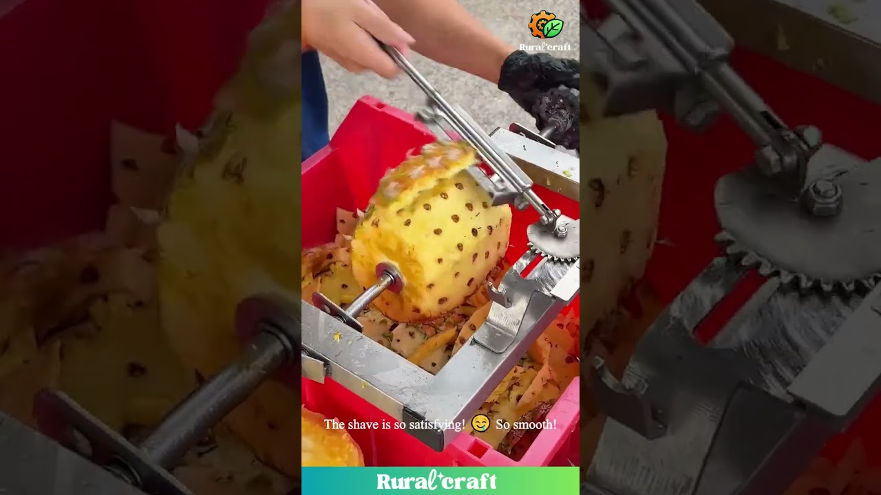 My Brain is SO HAPPY Watching This Pineapple Peeler! 😂 This Gadget is My Spirit Animal! 