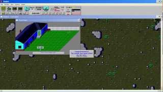 Let's Play SimAnt 02