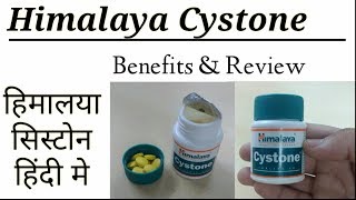 himalaya in hindi essays himalaya in hindi essays