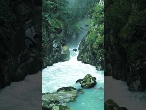 You Don T Have To Be Great To Start Shorts Motivation 