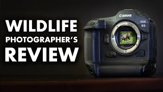 Canon R3 for Wildlife Photography  REVIEW