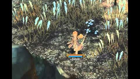 ToS Fencer Skill Flanconnade