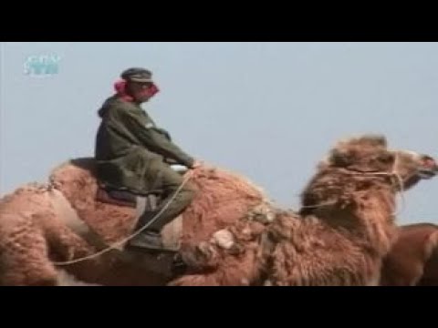 конюх федоров видео