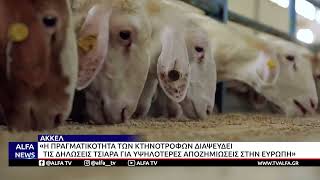 ΤΟ ΑΚΚΕΛ ΖΗΤΑΕΙ ΔΙΚΑΙΗ ΑΠΟΖΗΜΙΩΣΗ ΚΑΙ ΣΕΒΑΣΜΟ ΣΤΟΝ ΚΟΠΟ ΤΩΝ ΚΤΗΝΟΤΡΟΦΩΝ