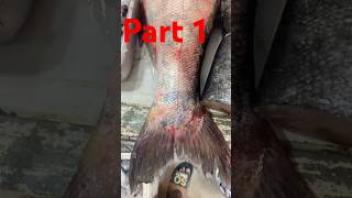 20 KG Silver Carp Fish Cutting | Big Fish Cleaning | A1 Meat Shop #fishmonger #fishshop #fishcut