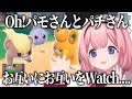 ついにパチさんとパモさんが出会いASMRアーティストまで参戦して仁義なきアカウント炎上凍結バトルが始まってしまうポケモンバイオレットエスパーニャ周央サンゴ【にじさんじ切り抜き】【周央サンゴ】