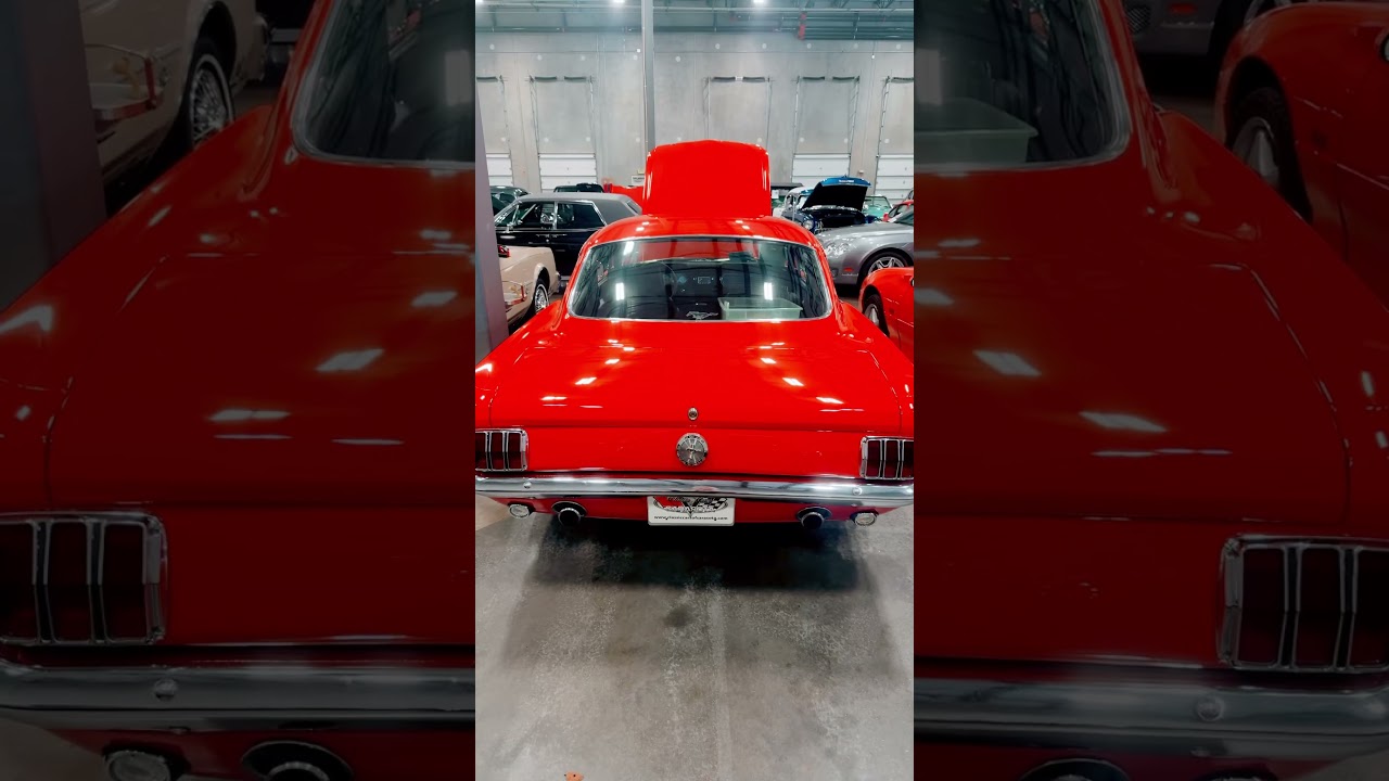 1966 Mustang Fastback 