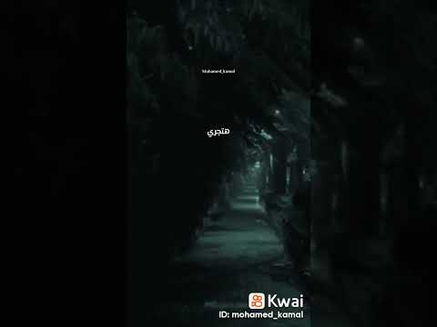 استمع الى خطبه الشيخ كشك رحمه الله عن قصه الرجل الفقير الذي عضه الكلب ماذا فعل فعل