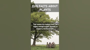 How much oxygen does one tree produce? #shorts #funfacts #trees #oxygen