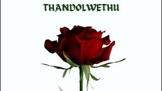 Thandolwethu - Entity Deep Music x Asanda Mkhize x MachiinaSA || Amapiano